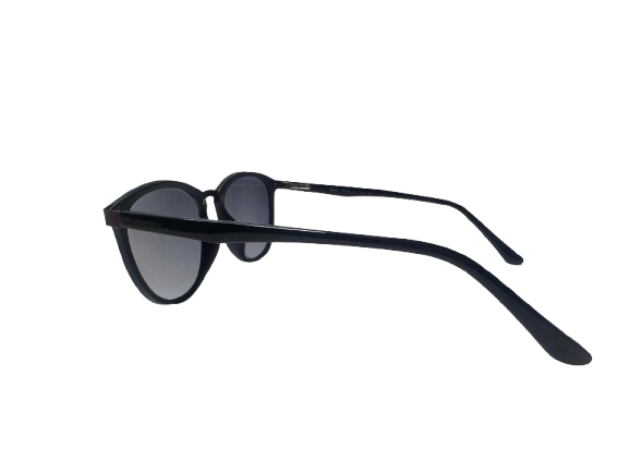 RB 8808 Intelligent Glasses