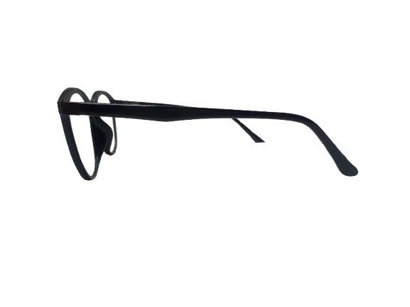 RB 8808 Intelligent Glasses